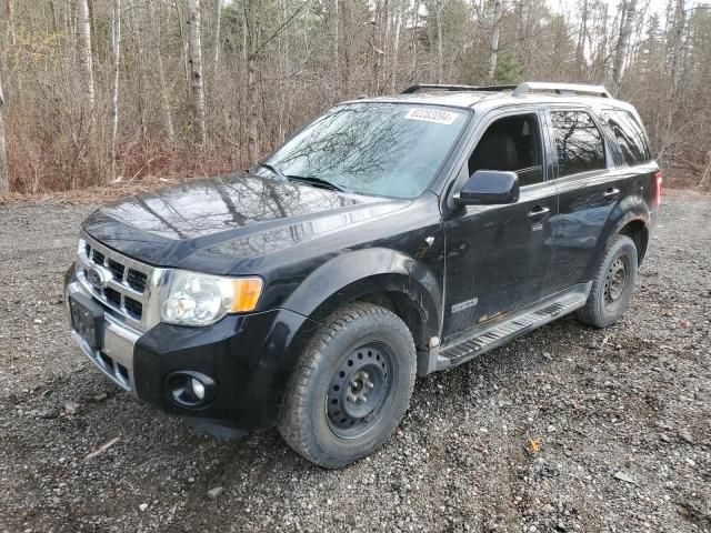 2008 Ford Escape Limited