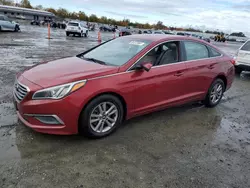 Salvage cars for sale at Antelope, CA auction: 2016 Hyundai Sonata SE