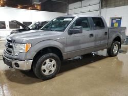 Salvage cars for sale from Copart Blaine, MN: 2013 Ford F150 Supercrew