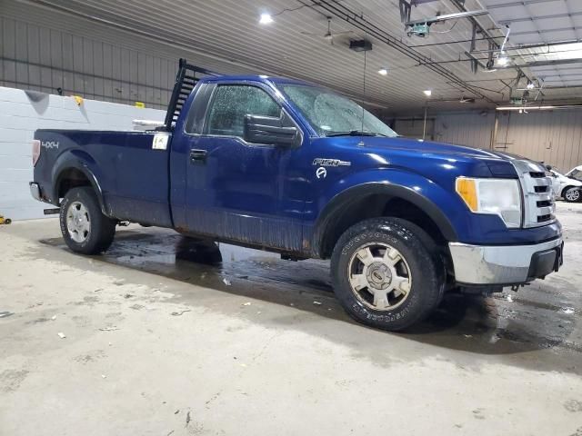 2010 Ford F150