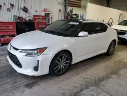 2015 Scion TC en venta en Greenwood, NE