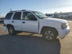 2006 Chevrolet Trailblazer LS