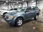 2012 Ford Escape XLS