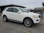 2007 Mercedes-Benz ML 350