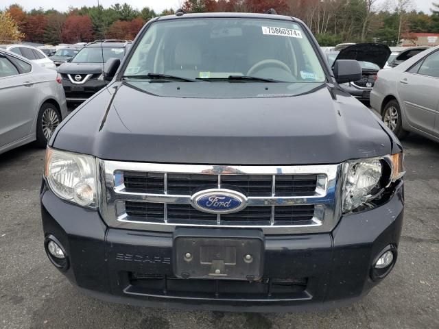 2011 Ford Escape XLT