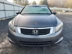 2010 Honda Accord LX