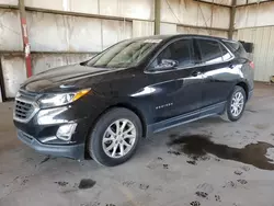 Salvage cars for sale at Phoenix, AZ auction: 2019 Chevrolet Equinox LT