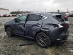 2024 Lexus NX 350 Base