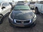 2010 Honda Accord EX