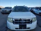 2008 Ford Escape HEV