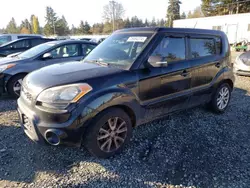 Salvage cars for sale at Graham, WA auction: 2013 KIA Soul +