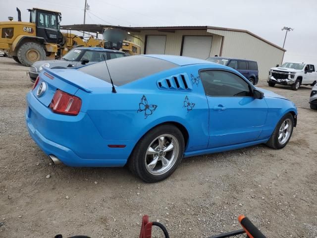 2010 Ford Mustang