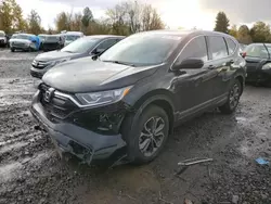 Salvage cars for sale at Portland, OR auction: 2020 Honda CR-V EX