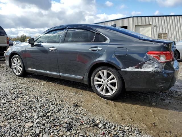 2010 Lexus ES 350