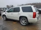 2011 Cadillac Escalade Premium