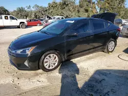 Salvage cars for sale at Ocala, FL auction: 2019 Hyundai Elantra SE