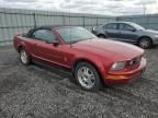 2006 Ford Mustang