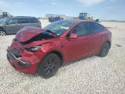 Salvage cars for sale at Taylor, TX auction: 2024 Tesla Model Y