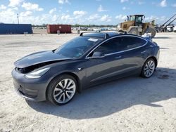 Tesla Model 3 salvage cars for sale: 2019 Tesla Model 3