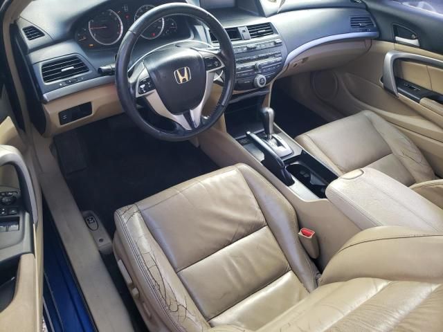 2008 Honda Accord EXL