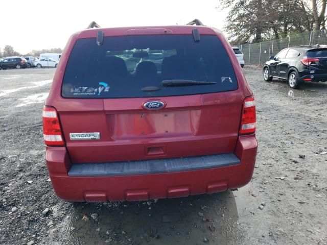 2011 Ford Escape XLT