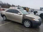 2007 Toyota Camry Hybrid