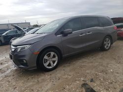 Honda salvage cars for sale: 2019 Honda Odyssey EXL