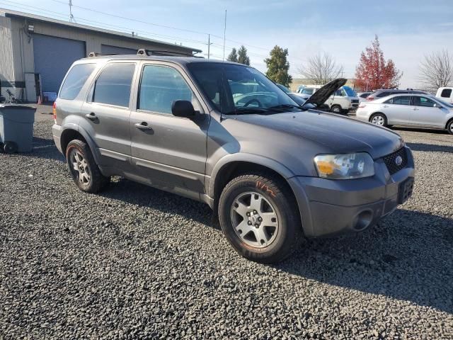 2005 Ford Escape Limited