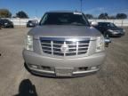 2008 Cadillac Escalade Luxury