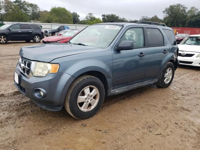 2011 Ford Escape XLT