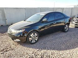 Salvage cars for sale at Phoenix, AZ auction: 2013 KIA Forte EX