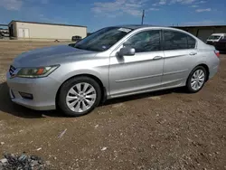 Salvage cars for sale at Temple, TX auction: 2014 Honda Accord EXL