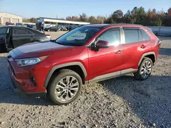 Toyota rav4 xle Premium salvage cars for sale: 2019 Toyota Rav4 XLE Premium