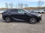 2024 Lexus RX 350 Base