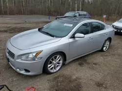 Lotes con ofertas a la venta en subasta: 2009 Nissan Maxima S