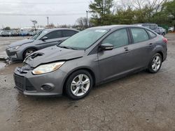 2014 Ford Focus SE en venta en Lexington, KY