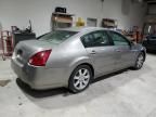 2004 Nissan Maxima SE