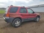 2004 Ford Escape XLT