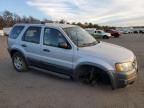 2004 Ford Escape XLT