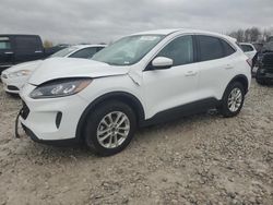 Salvage cars for sale at Wayland, MI auction: 2021 Ford Escape SE