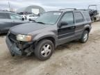 2002 Ford Escape XLS