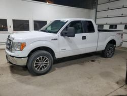 Salvage cars for sale from Copart Blaine, MN: 2014 Ford F150 Super Cab