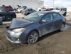 Salvage cars for sale at Farr West, UT auction: 2014 Toyota Corolla ECO