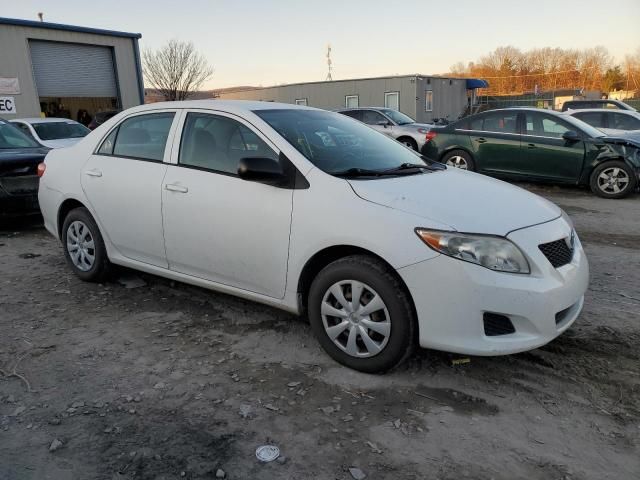 2010 Toyota Corolla Base