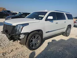 2016 Cadillac Escalade ESV Platinum en venta en Taylor, TX