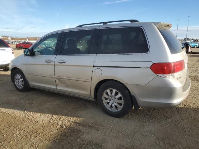 2008 Honda Odyssey EXL