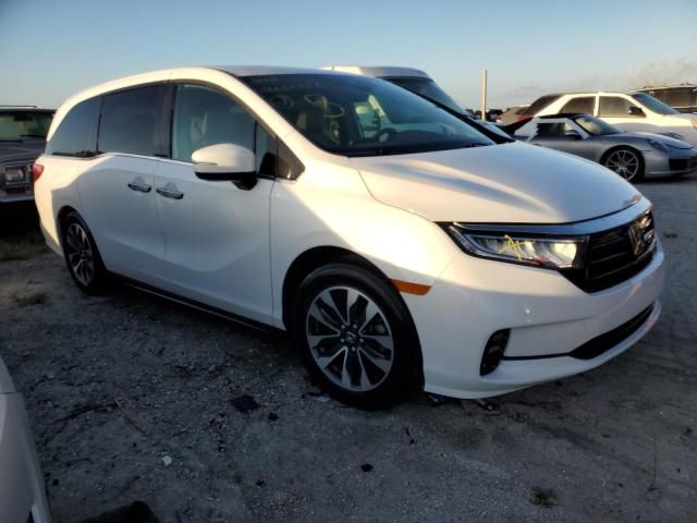 2021 Honda Odyssey EXL