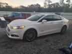 2013 Ford Fusion SE Hybrid