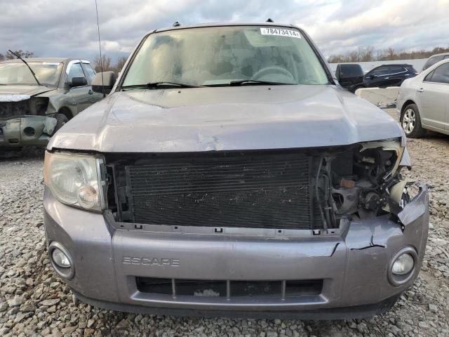 2008 Ford Escape XLT