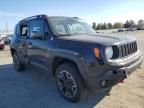 2017 Jeep Renegade Trailhawk